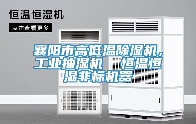 襄陽市高低溫除濕機，工業(yè)抽濕機  恒溫恒濕非標機器