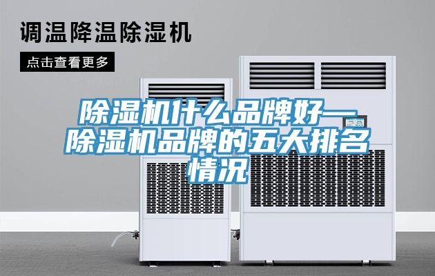 除濕機(jī)什么品牌好—除濕機(jī)品牌的五大排名情況