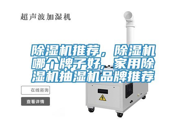 除濕機推薦，除濕機哪個牌子好, 家用除濕機抽濕機品牌推薦