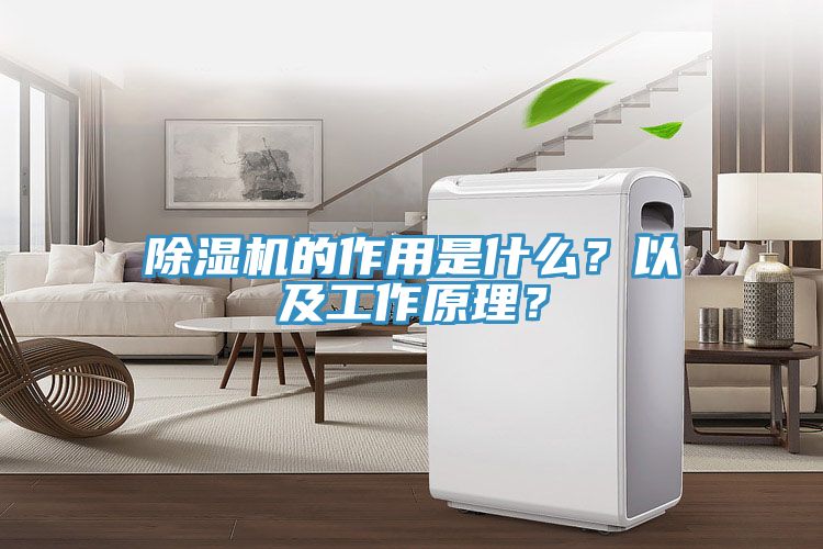 除濕機的作用是什么？以及工作原理？