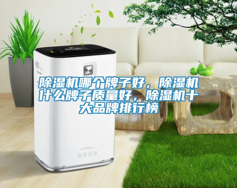 除濕機哪個牌子好，除濕機什么牌子質量好，除濕機十大品牌排行榜