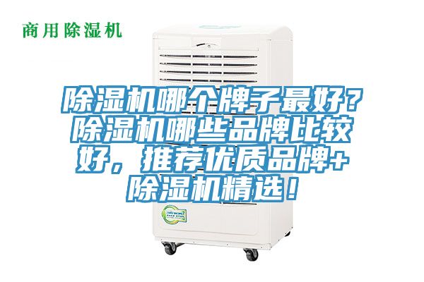 除濕機(jī)哪個(gè)牌子最好？除濕機(jī)哪些品牌比較好，推薦優(yōu)質(zhì)品牌+除濕機(jī)精選！