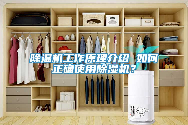 除濕機工作原理介紹 如何正確使用除濕機？