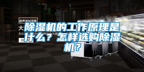 除濕機(jī)的工作原理是什么？怎樣選購除濕機(jī)？