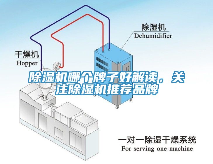 除濕機哪個牌子好解讀，關(guān)注除濕機推薦品牌