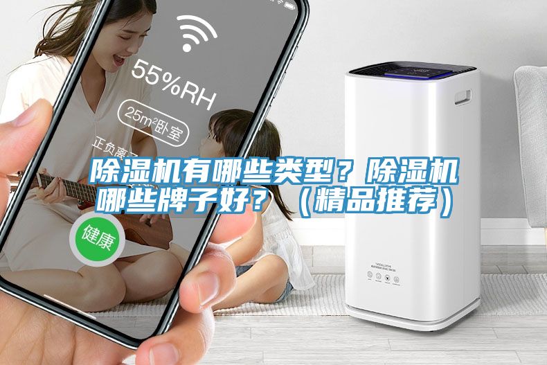 除濕機有哪些類型？除濕機哪些牌子好？（精品推薦）